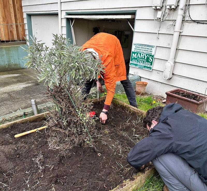 The author and a friend bend over a raised garden bed, pulling weeds from the soil